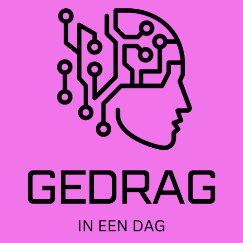 Gedrag in een dag